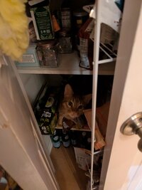 PXL 20260407 093750597