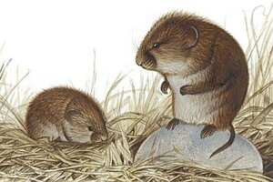 43f9c8f8a7db84acea7bf08bfef97e73