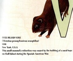 6bd2e78e8e3af8fdb280b1ab026f7262