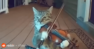 Stop that its midnight v0 uC4Ap15OzNojKgKQrieZgC9VbCfYpTUT2X1 7CB7PAI