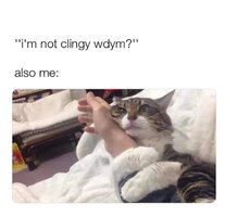 Kit cat codependency v0 e3stmcd0ze0b1