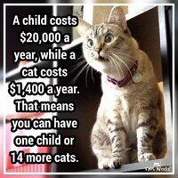 Cats kids v0 umlumlhxd6mc1