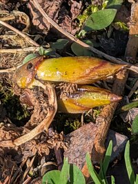 PXL 20260417 212639081