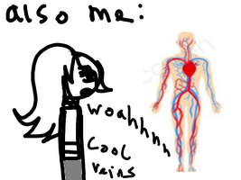 I should go to sleep