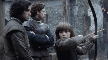 Got reunion bran arya
