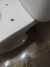 1000072291