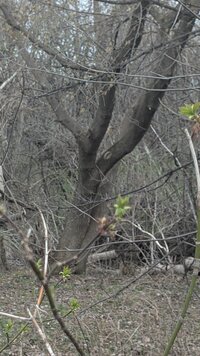 PXL_20260428_202357627.jpg