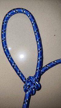 IMG 20260502 030912