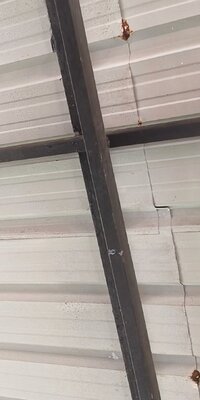 262029 IMG 20260502 135827