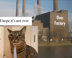Tes