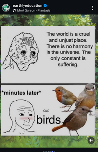 1000328735.png