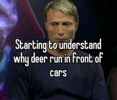 1778694952374