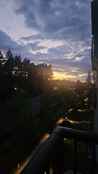 6197