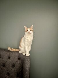 IMG 8660