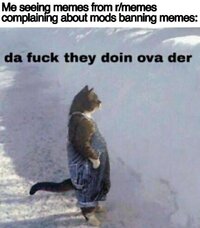 Reddit at its finest huh v0 4x2n6qp4t35e1