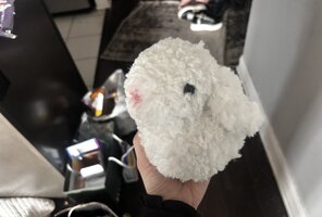 IMG 9852