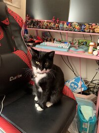 IMG_4601.jpeg