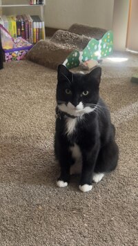 IMG_0066.jpeg