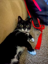 IMG_0068.jpeg