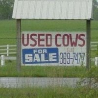 Funny