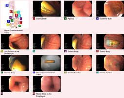Screenshot_20260526-142214~2.jpg