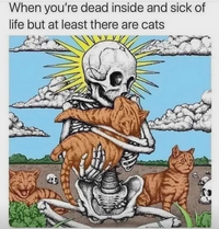 Screenshot 2026 05 28 at 19 07 35 A reason to live r Catmemes
