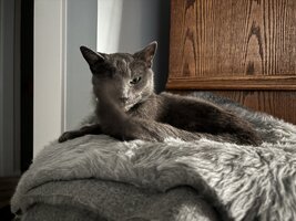 IMG_0549.jpeg