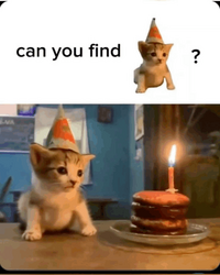 1780506430703