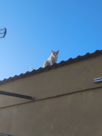 IMG_20260617_185338.jpg