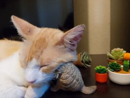 IMG_20260625_190937_PORTRAIT.jpg
