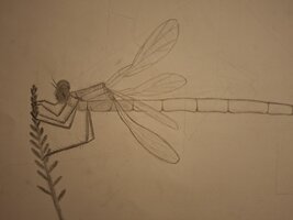 20260704_203629.jpg