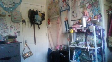 IMG_20260707_082434.jpg