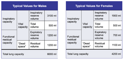 Respiratory volume tables