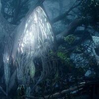 Lord of the rings elves forrest