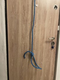 IMG_3332.jpeg