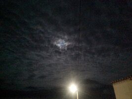 IMG 20251103 191344