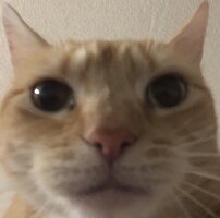 22947