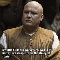 My little birds are everywhere even in the north they xh2