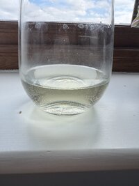 IMG_3225.jpeg