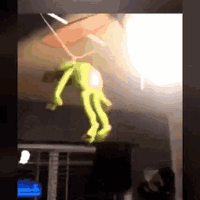 Kermit the frog hanging