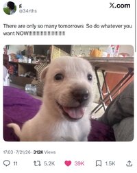 23288