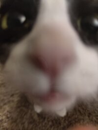 1000002956