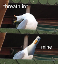 1785427856439