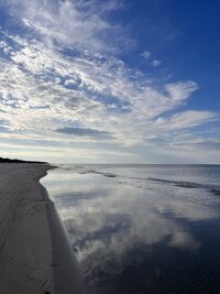 IMG_0471.jpeg