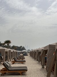 IMG_8246.jpeg