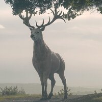 91eb6378f69110aaf9f165184f4b9ec0