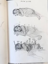 IMG_0548.jpeg