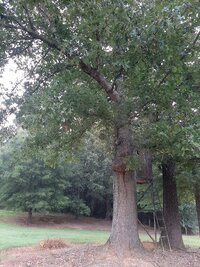 IMG 3563