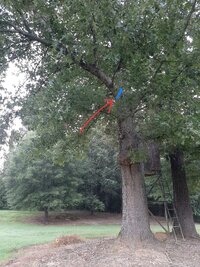 IMG 3566