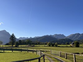 IMG_3511.jpeg